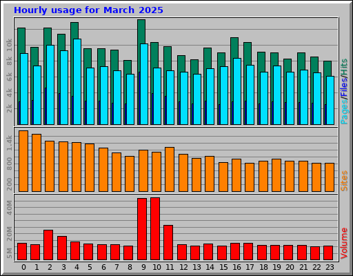 Hourly usage for March 2025